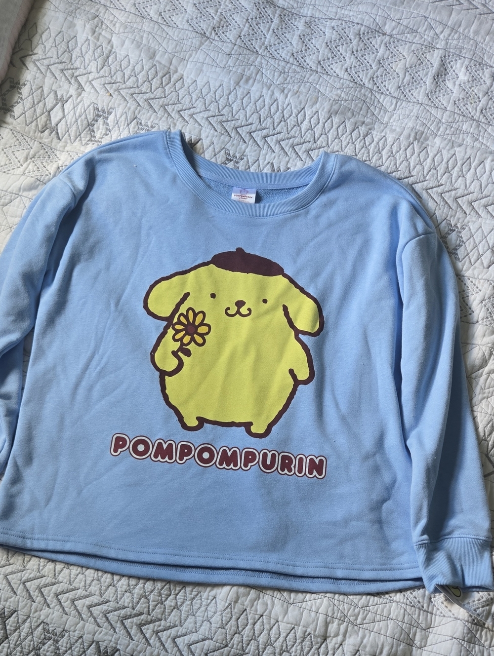 Sanrio Pompompurin Light Blue Pullover Sweatshirt